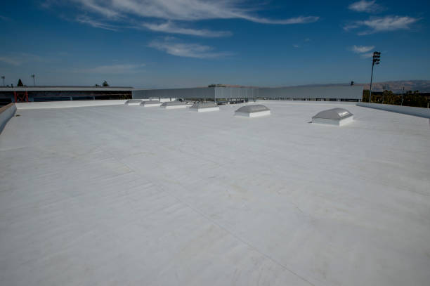 Best Roof Insulation Installation  in Ridge Wood Heights, FL