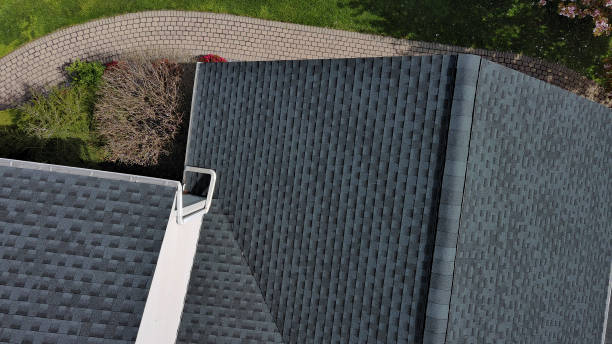 Best Roof Coating and Sealing  in Ridge Wood Heights, FL